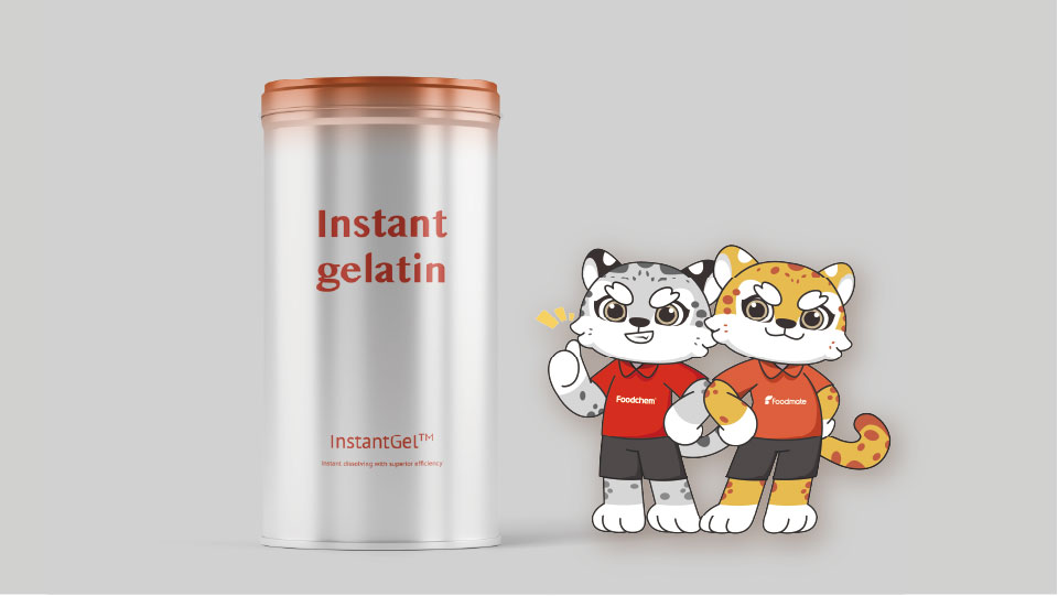 instant gelatin