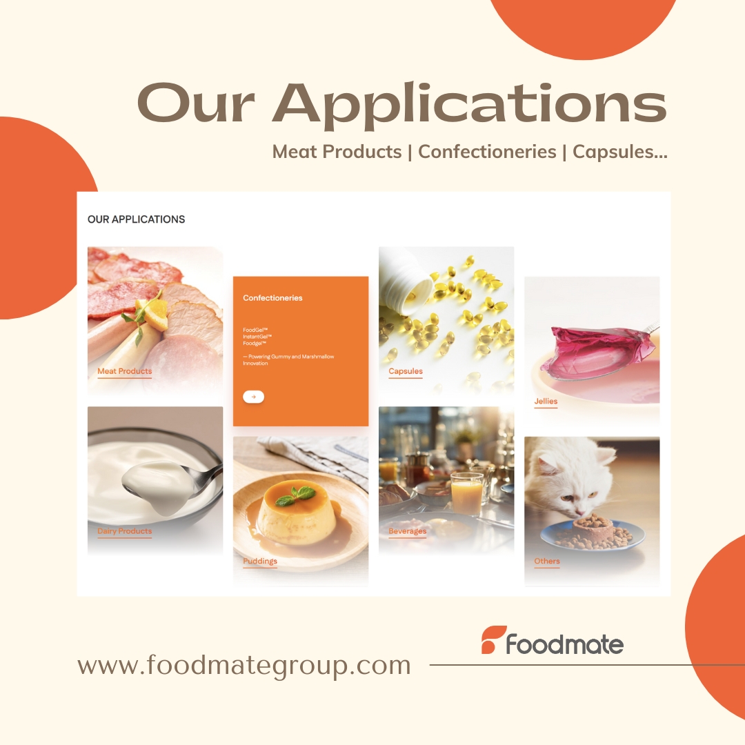 Applications of Foodmate Products