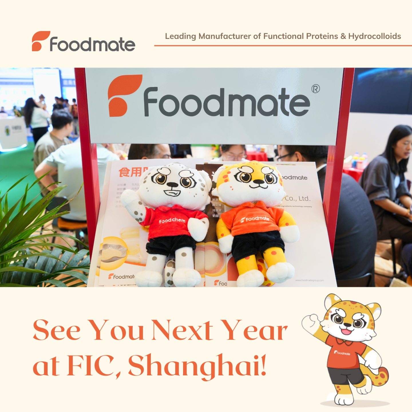 China Gelatin Manufacturer, Foodmate, will attend FIC 2026