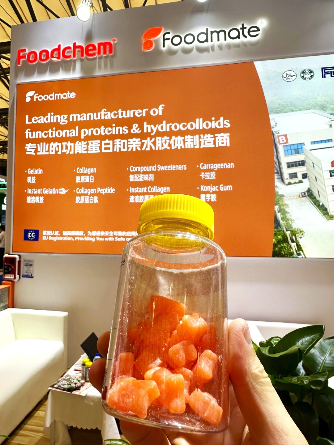 chewable creatine gummies